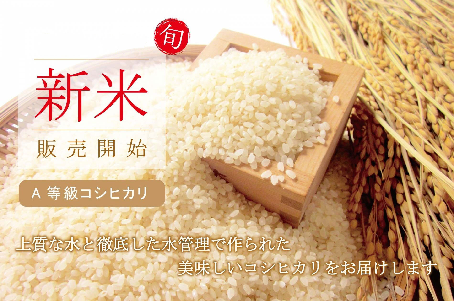 令和6年産コシヒカリ